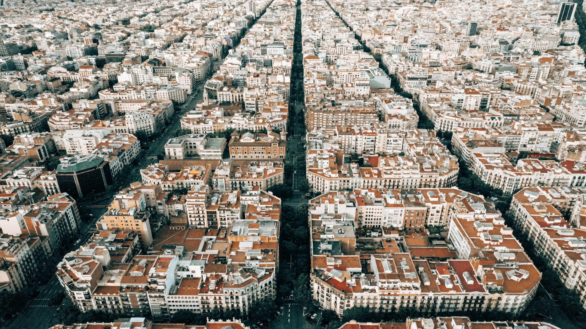 Image hover effect image